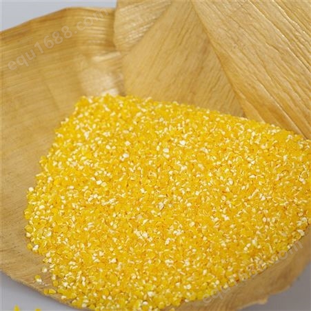 玉米糁 玉米糁价格 五谷杂粮 黄玉米糁 厂家
