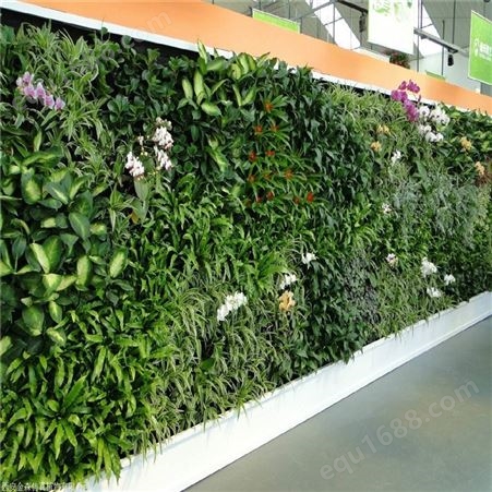 地产绿植墙体 绿植装饰墙 金森