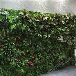 防真绿植墙 室内植物墙 绿植墙一平米 西安绿植墙