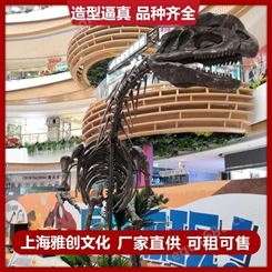 仿真恐龙骨骼模型 恐龙化石骨架模型 雅创  可租可售