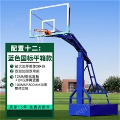 成人篮球架 户外标准可移动家用室外训练比赛落地式学校篮球框