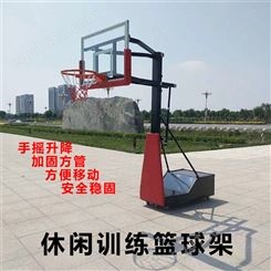 可升降室外移动篮球架 成人户外儿童篮球框投篮青少年家用 贰林