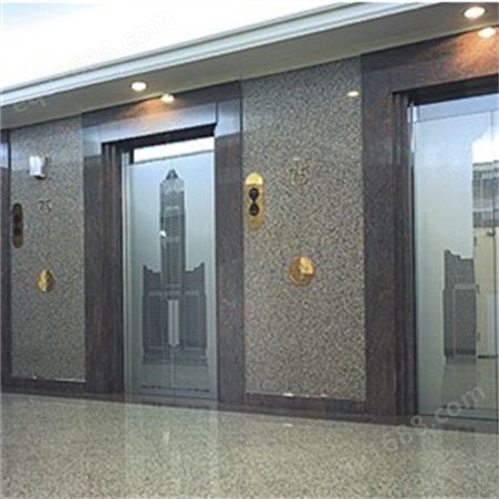 乘客电梯 客梯 居民小区机场酒店公寓办公楼 观光升降机曳引式低噪音