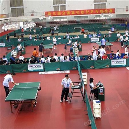 LG运宝 运动场专业地板 PVC塑胶地板 羽毛球场乒乓球场地面