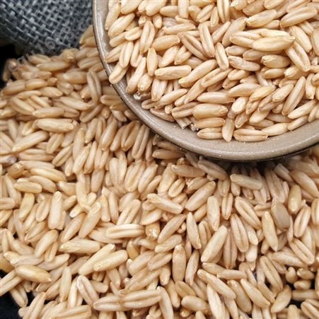 有机燕麦米 东北粗粮米燕麦仁 溢溢田燕麦米900g