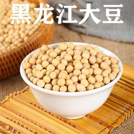 黑龙江黄豆价格 东北大豆批发市场 2021豆瓣价格 做豆腐用半粒黄豆 和粮农业