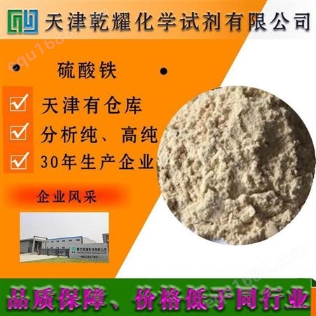 乾耀科技 磷酸铁 灰白色粉末 质量好 13463-10-0 99纯度 可定制