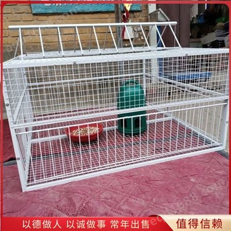 家用子母16位鸽笼 养殖用组装鸽笼子 使用方便