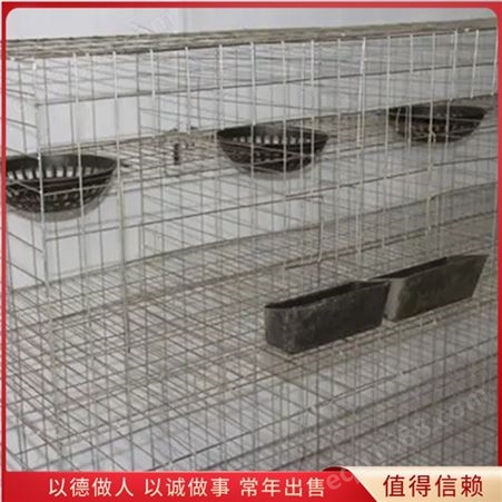 家用子母16位鸽笼 养殖用组装鸽笼子 使用方便