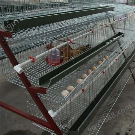 蛋鸡笼 多层阶梯式结构 全自动养殖机械设备 嘉康