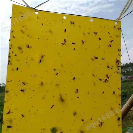 诱虫黄板可全降解友好型粘虫板锐农仪器绿色防控