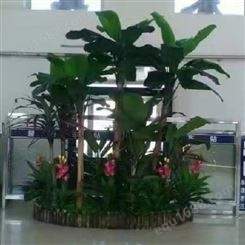 室内外景观椰子树造景仿真绿植北方地区厂家天骄园林设计出品