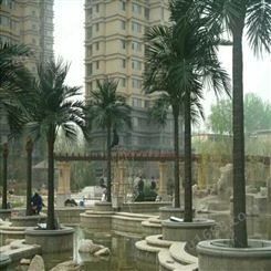 绿化椰子树效果自然景观树设计安装一体化水上乐园专用