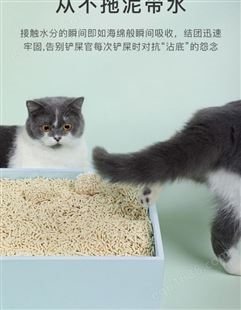绿茶豆腐砂6l除臭结团吸附2.4kg无尘豆腐猫砂