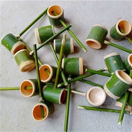 创意竹筒水桶 花盆儿童玩具 竹制手提竹子水-桶